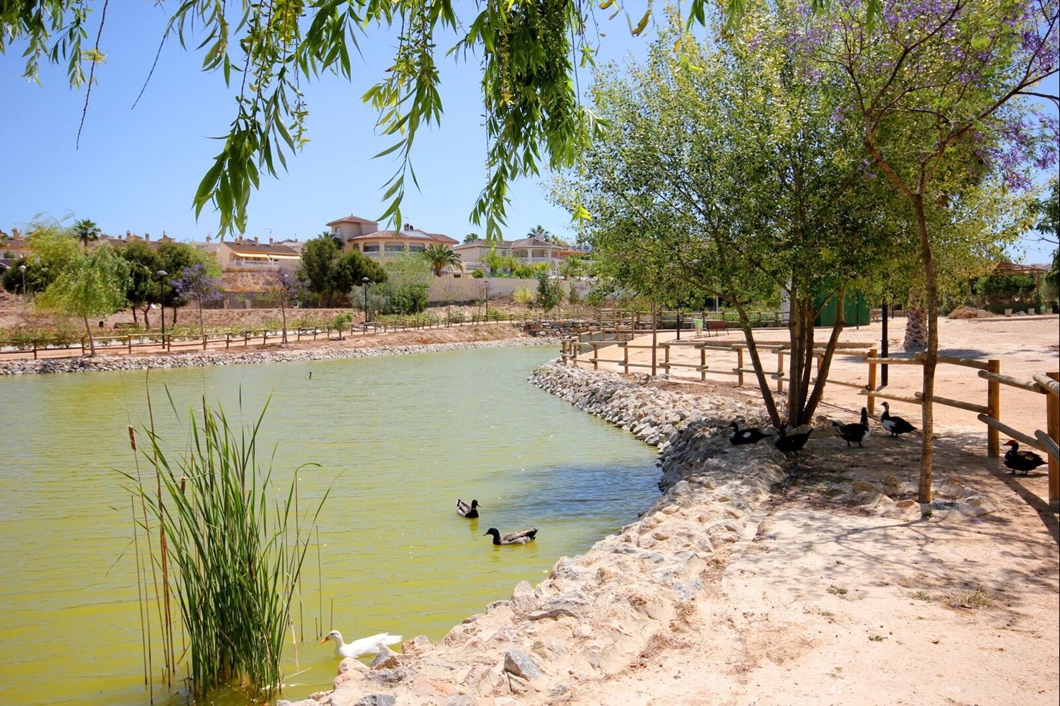 Del av Cañada Marsá