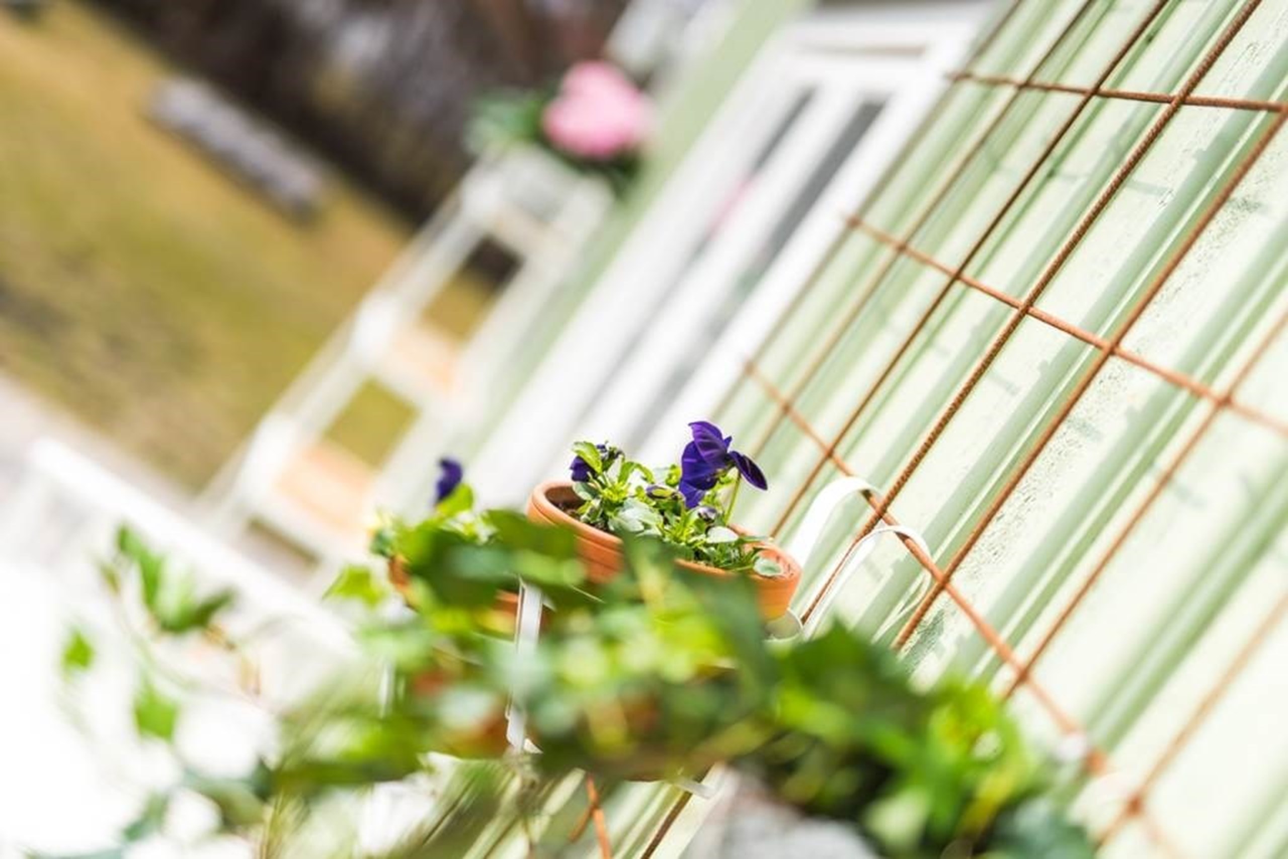 Detaljbild