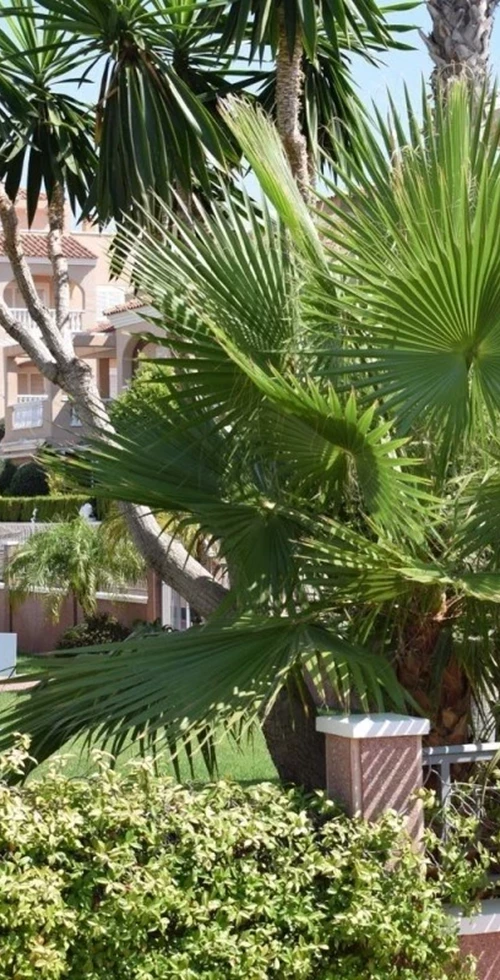 Zeinamar 7