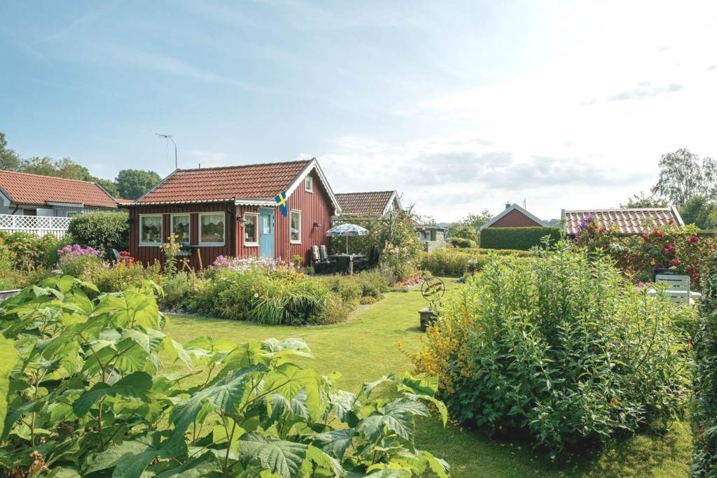 Lågupplöst