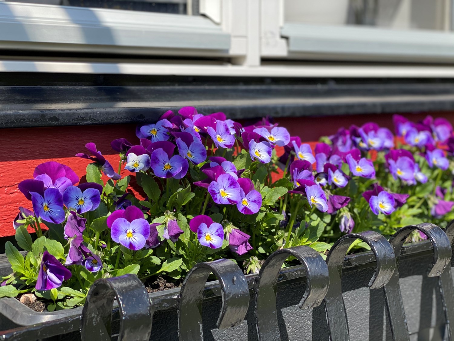 Detaljbild